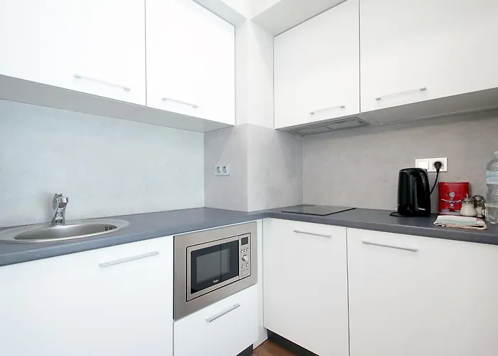 Smart Center Apartment Lemberg